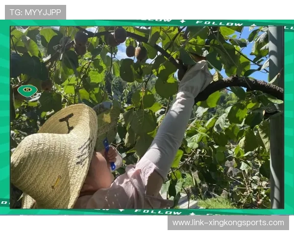 亲身体验有机农场采摘乐趣感受大自然的馈赠