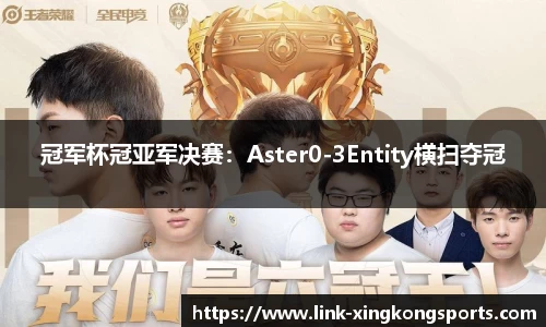 冠军杯冠亚军决赛：Aster0-3Entity横扫夺冠